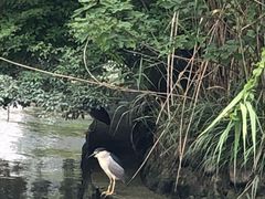 -苏州河梦清园环保主题公园