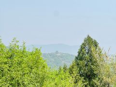 -北京西山国家森林公园