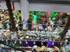 -双季花艺园艺市场(浦东店)