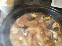 -肥鱼屯活鱼锅(惠工街店)