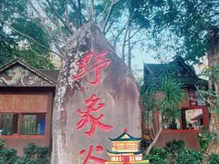 -野象谷景区