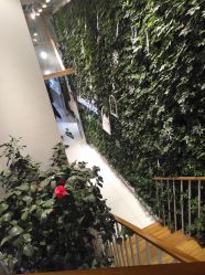 -悦诗风吟innisfree