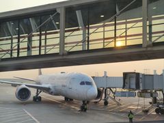 -上海浦东国际机场-T2航站楼