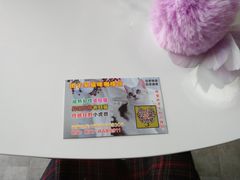 -团子家猫咪猫咖馆·柯基·柯尔鸭
