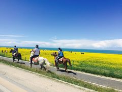 -青海湖国家重点风景名胜区