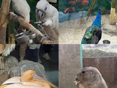 -海合安武汉极地海洋公园