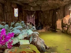 -正佳雨林生态植物园