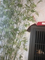 -盘子女人坊古装写真摄影(天津总店)