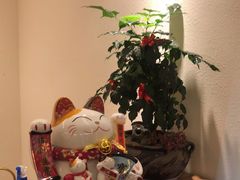 -悦享采耳·洗头头疗·推拿SPA(海沧万科旗舰店)