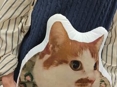 -申普宠物医院·心脏介入·心血管微创(总院)