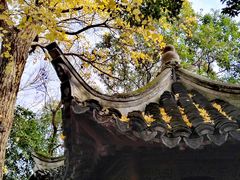 -秋霞圃
