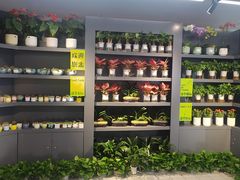 -农工商超市(金沙江路店)