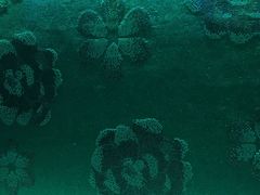 走廊-真爱范特西KTV(交大店)