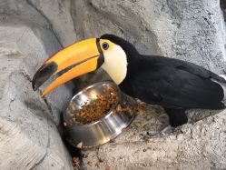 -Zoolung Zoolung动物主题公园(海信广场店)