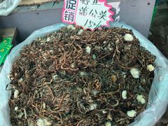 -长兴慧子土特产茶行