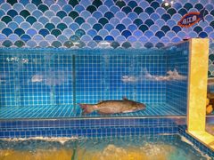 水产区-乔哥铭洋海鲜自助(皇城恒隆广场店)