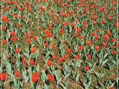 -长春公园(普阳街道)