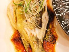 -全聚德(上海首店浦东店)