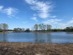 -大兴滨河森林公园