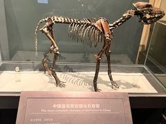 -大庆市博物馆