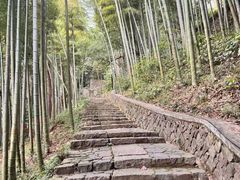 -莫干山风景区