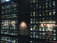 -广东中医药博物馆