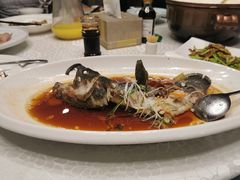 清蒸大黄鱼-金地利海鲜酒楼(清凉门店)
