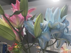 -丹江渔村(首都机场店)