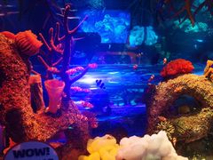 -沈阳海洋探索中心