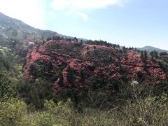 -木兰云雾山