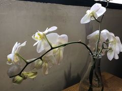 -研途咖啡馆(健康路店)