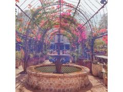 -The Grounds of Alexandria