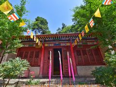-少华山国家森林公园