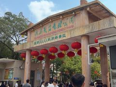 -广东茂名森林公园