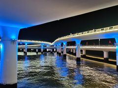 -演武大桥观景平台