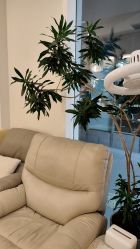 -美愈美肤MEIYU SKIN