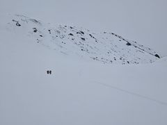 -祁连山·岗什卡雪峰景区