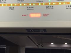 -奥体中心(地铁站)