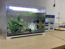 -丝域养发馆