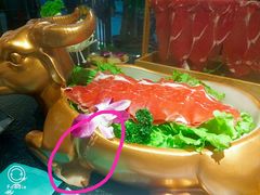 -羊肉街口老银川滩羊涮肉馆