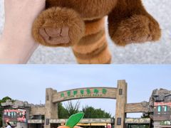 -北京野生动物园