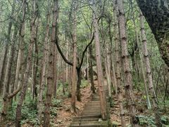 -罗田薄刀峰风景区