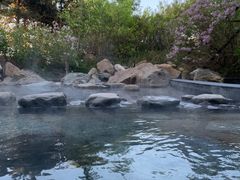 -大连大和馆观山阁温泉酒店