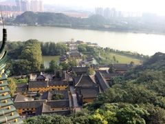 焦山公园-焦山风景区