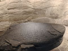 -白鹤梁水下博物馆