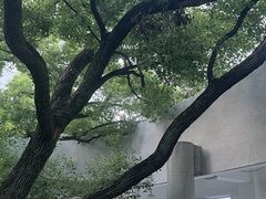 -湖北美术学院(昙华林校区)