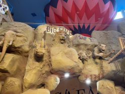 -卡通尼·Safari非洲探索乐园·生日会(金桥国际商业广场店)