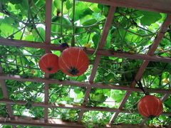 -东南花都花博园