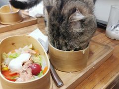 -猫小院猫主题餐厅(南锣旗舰店)