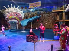 -烟台海昌鲸鲨海洋公园